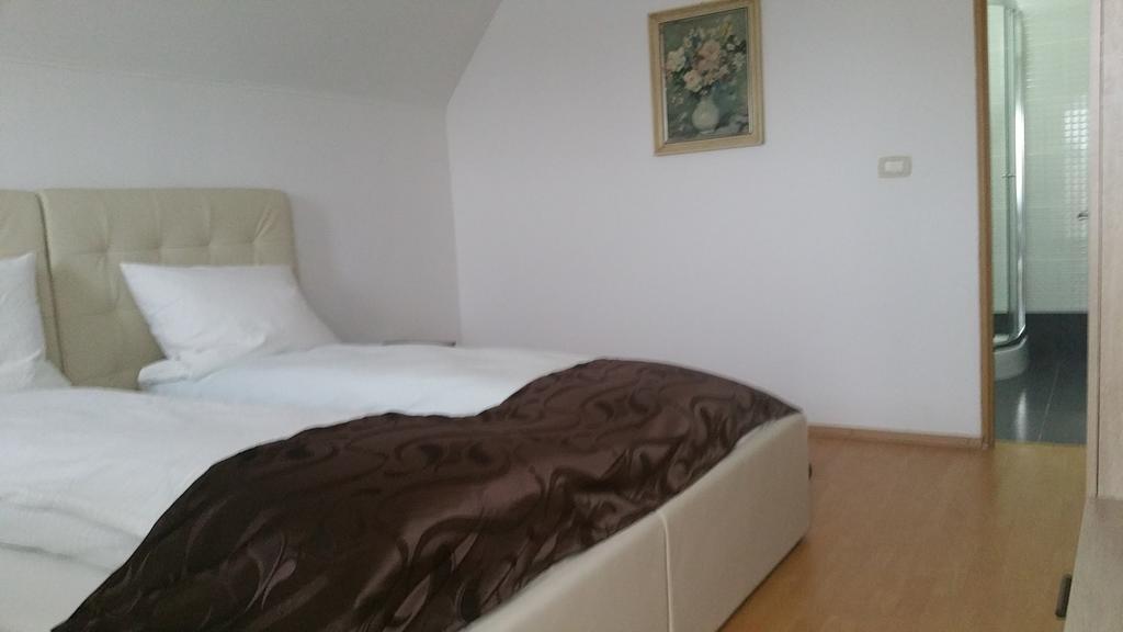 Family Pension Arad Exterior foto