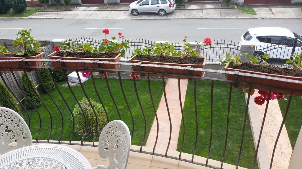 Family Pension Arad Exterior foto